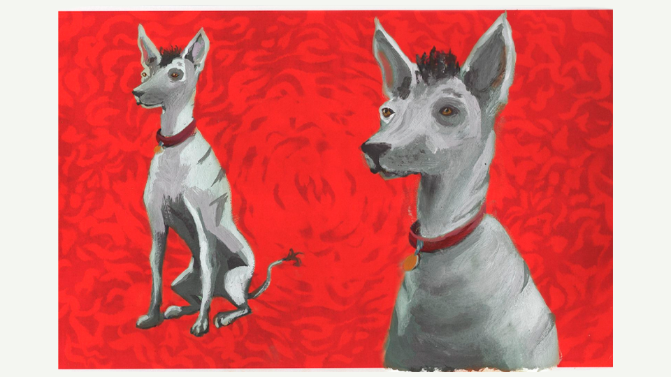 xolo_boceto_treat_01